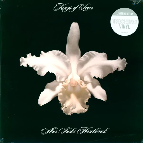 Kings Of Leon: Aha Shake Heartbreak