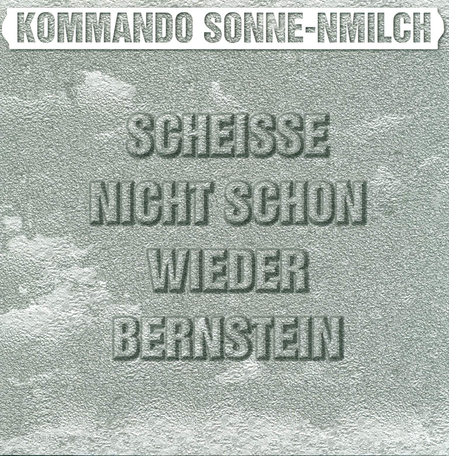 Kommando Sonne-Nmilch: Scheisse Nicht Schon Wieder Bernstein