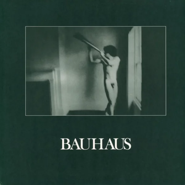 Bauhaus: In The Flat Field