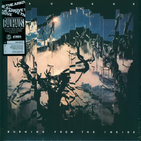 Bauhaus: Burning From The Inside