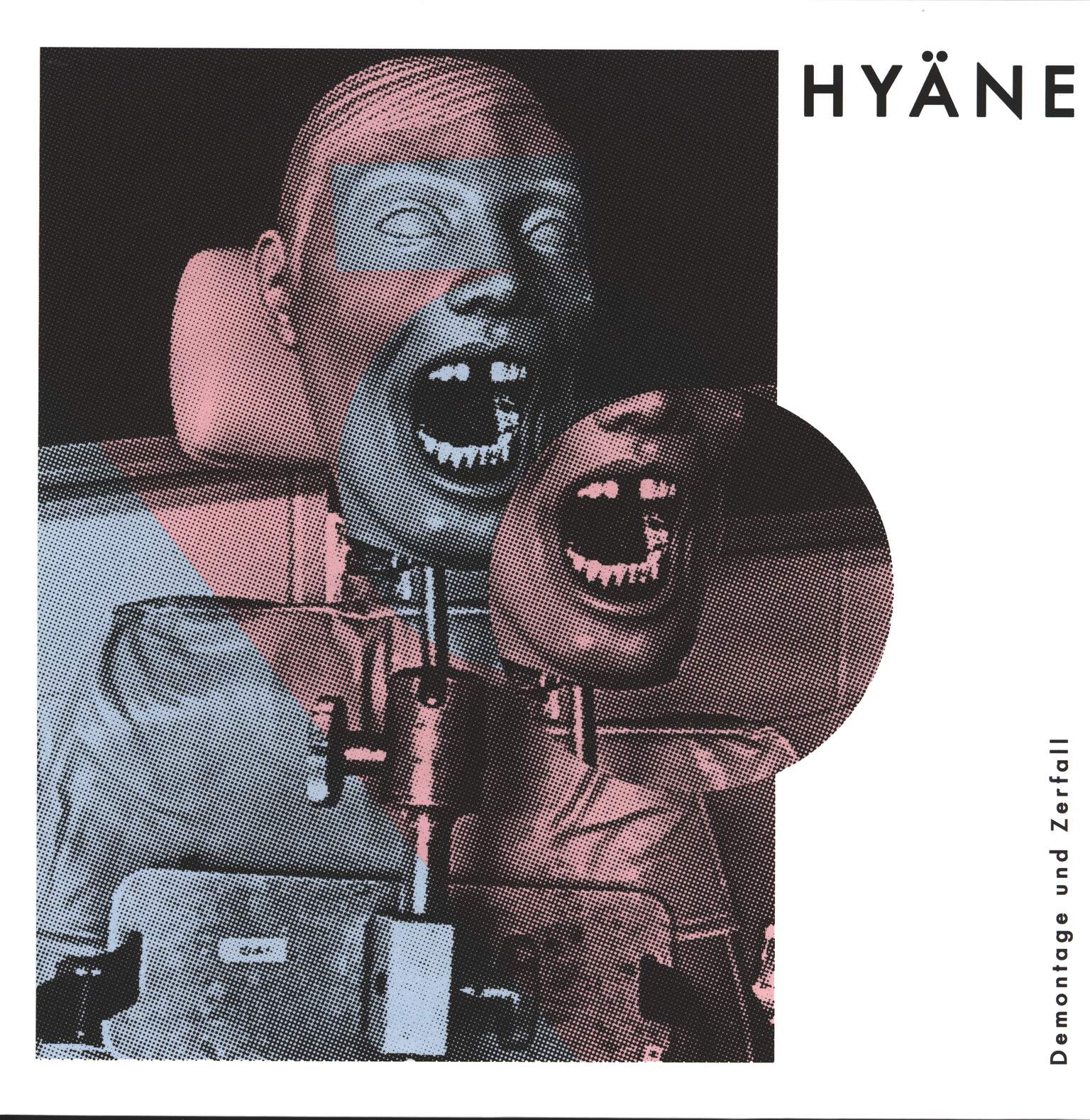 Hyäne: Demontage Und Zerfall