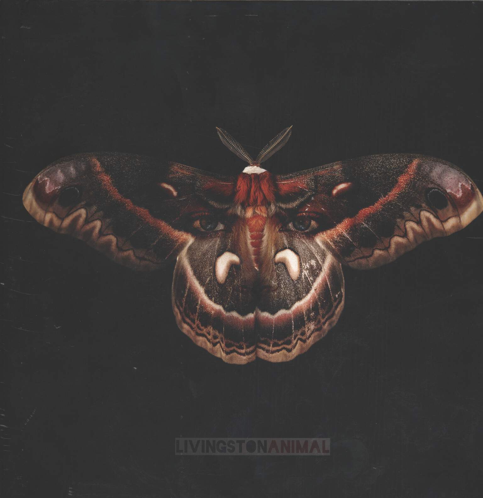 Livingston: Animal