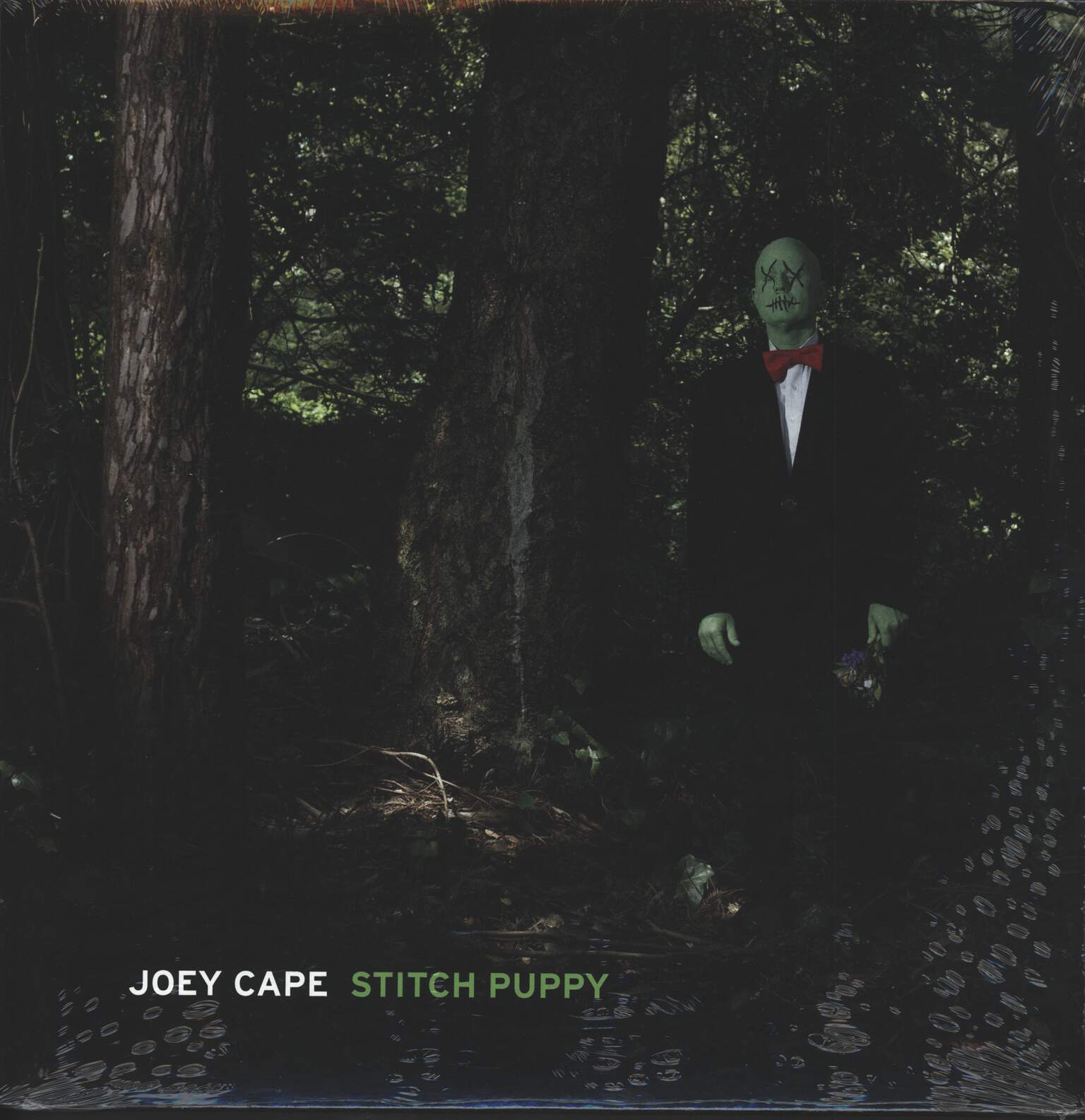 Joey Cape: Stitch Puppy