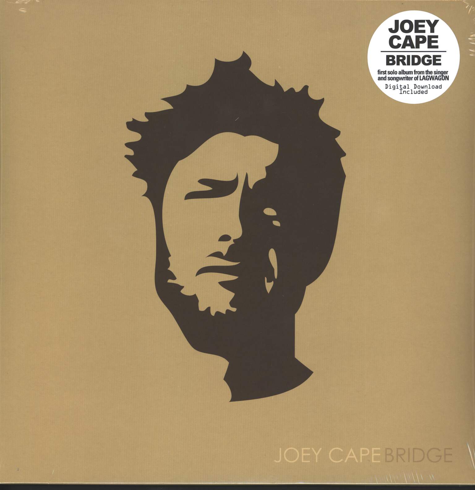 Joey Cape: Bridge