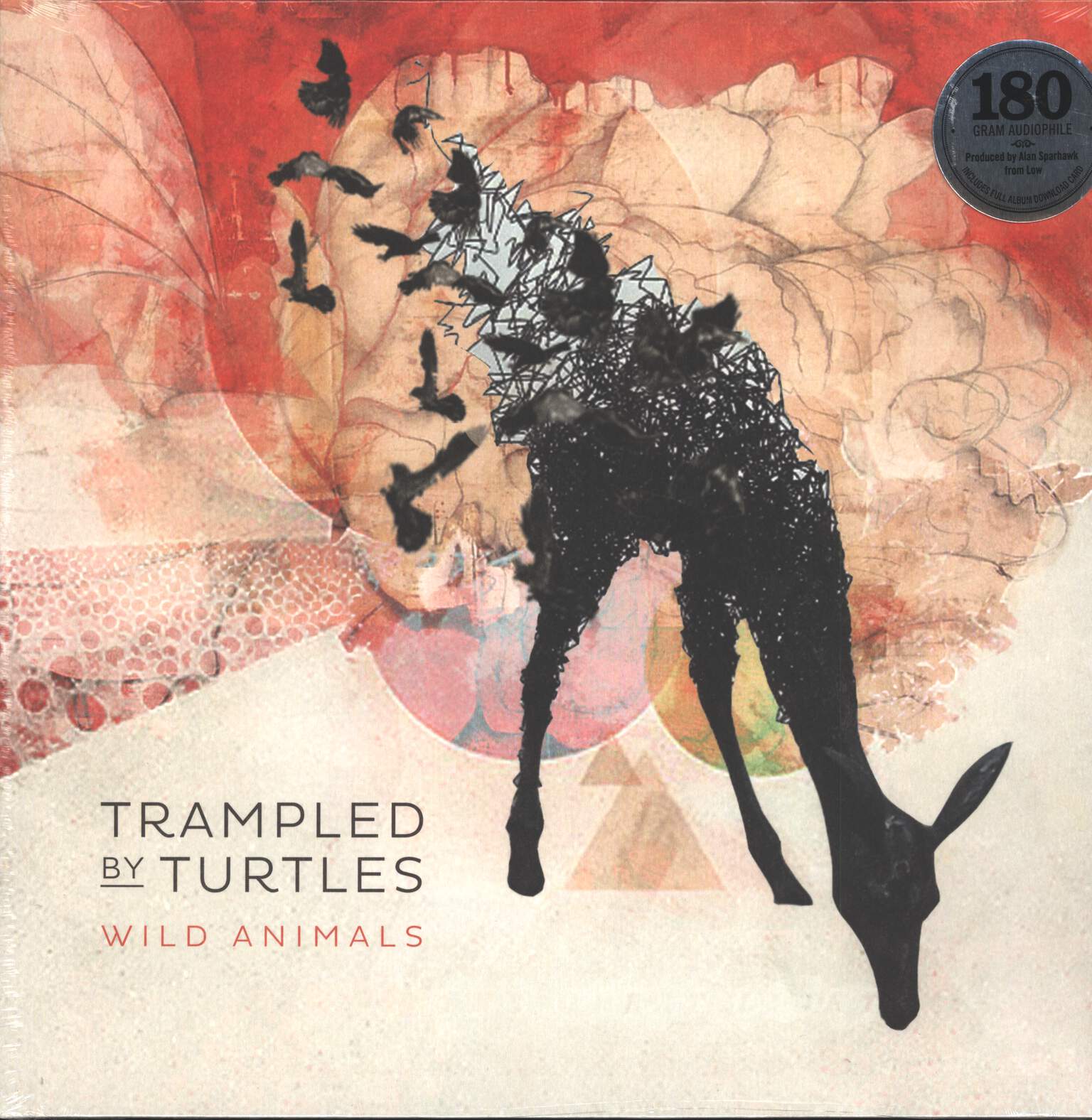 Trampled By Turtles: Wild Animals