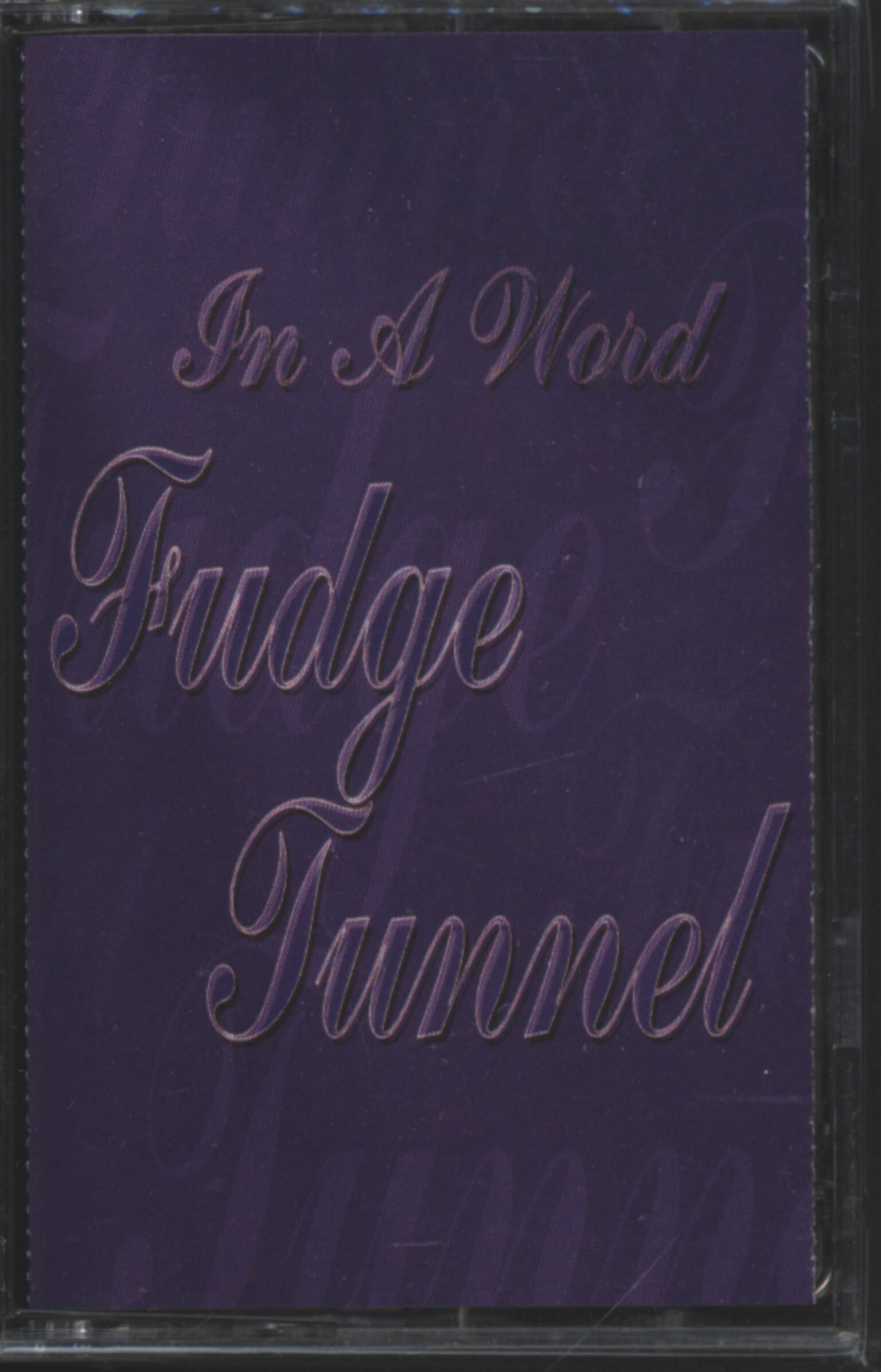Fudge Tunnel: In A Word
