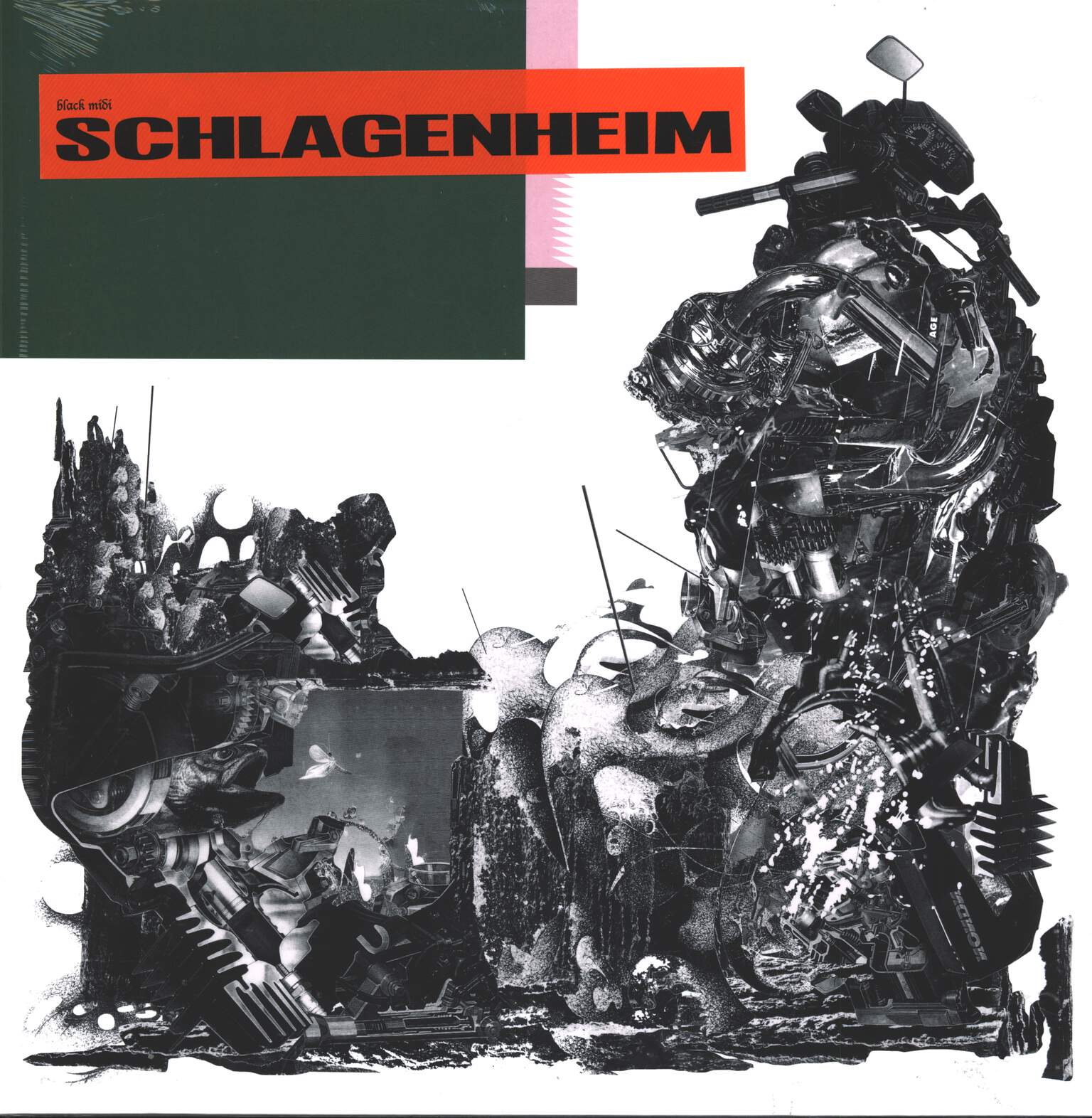 Black Midi: Schlagenheim
