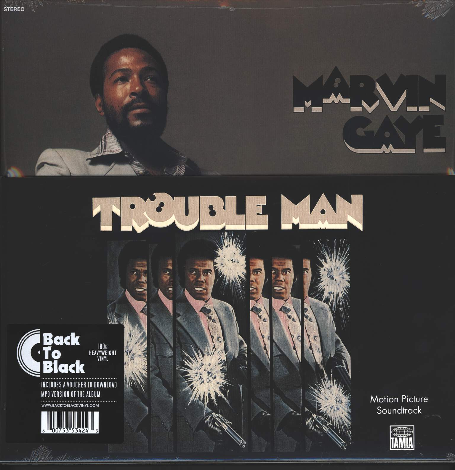 Marvin Gaye: Trouble Man