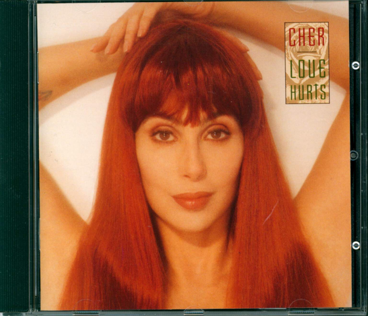 Cher: Love Hurts