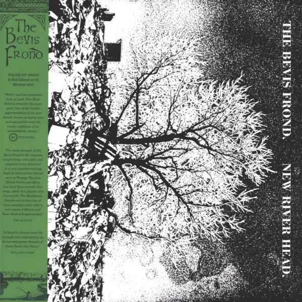 The Bevis Frond: New River Head