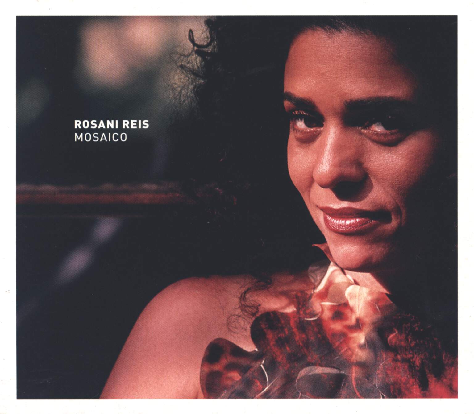 Rosani Reis: Mosaico