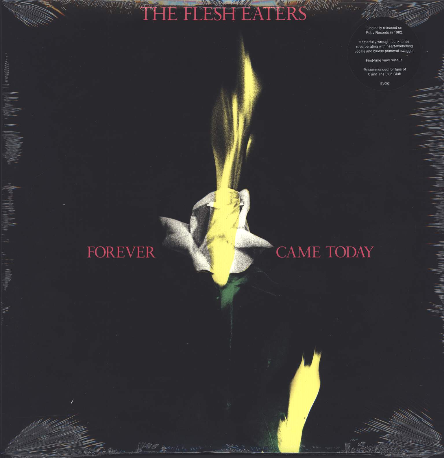 The Flesh Eaters: Forever Came Today
