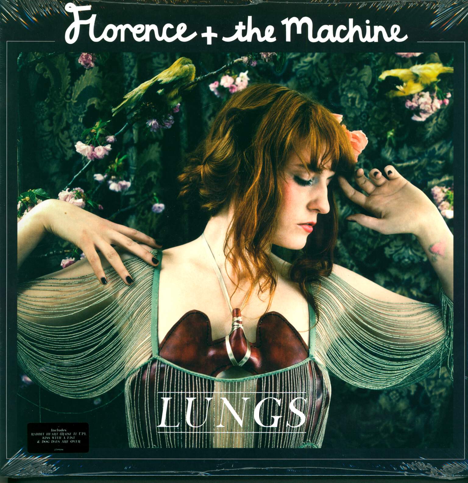 Florence And The Machine: Lungs