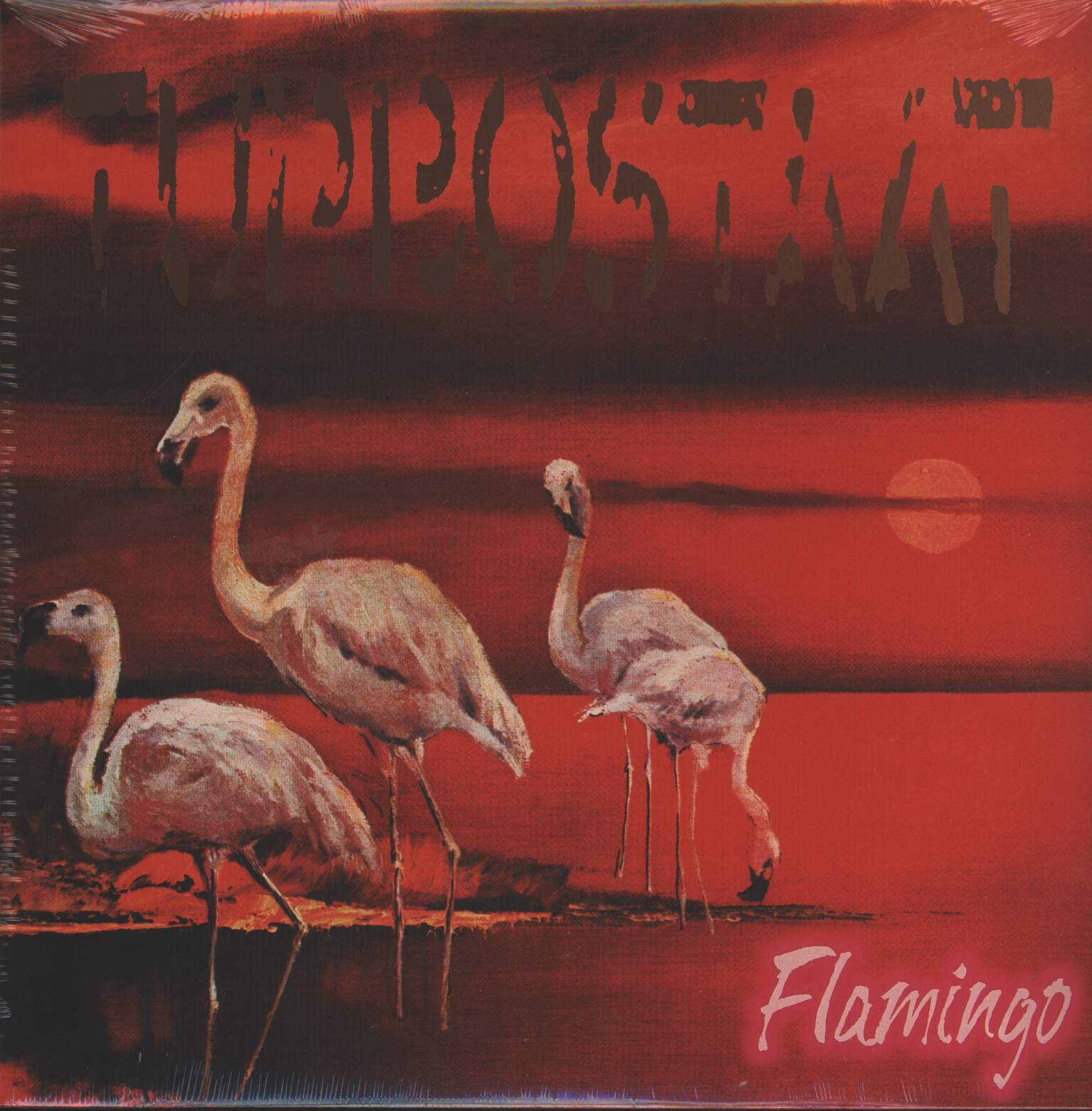 Turbostaat: Flamingo