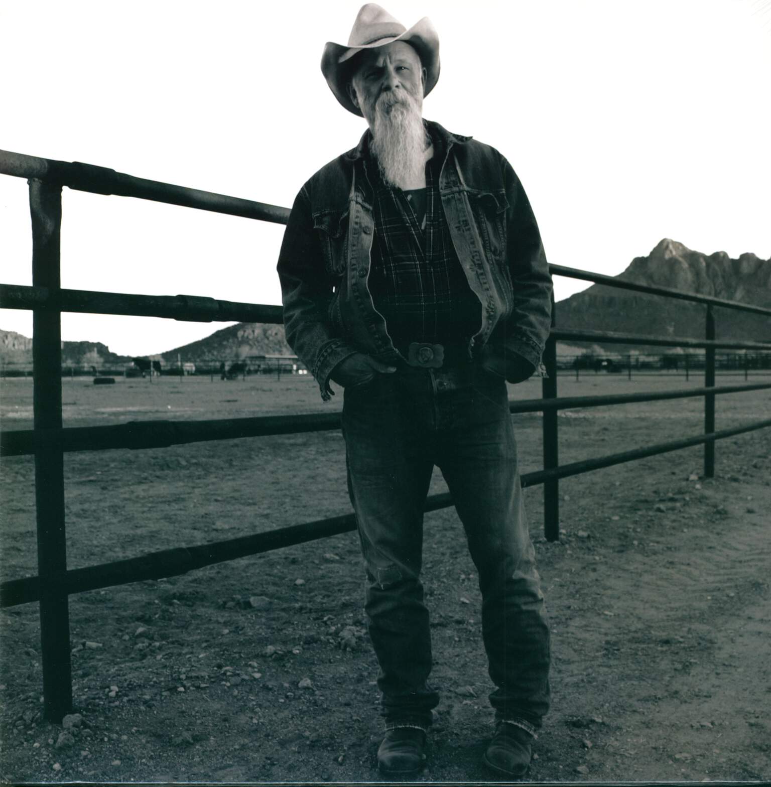Seasick Steve: Keepin' The Horse Between Me And The Ground