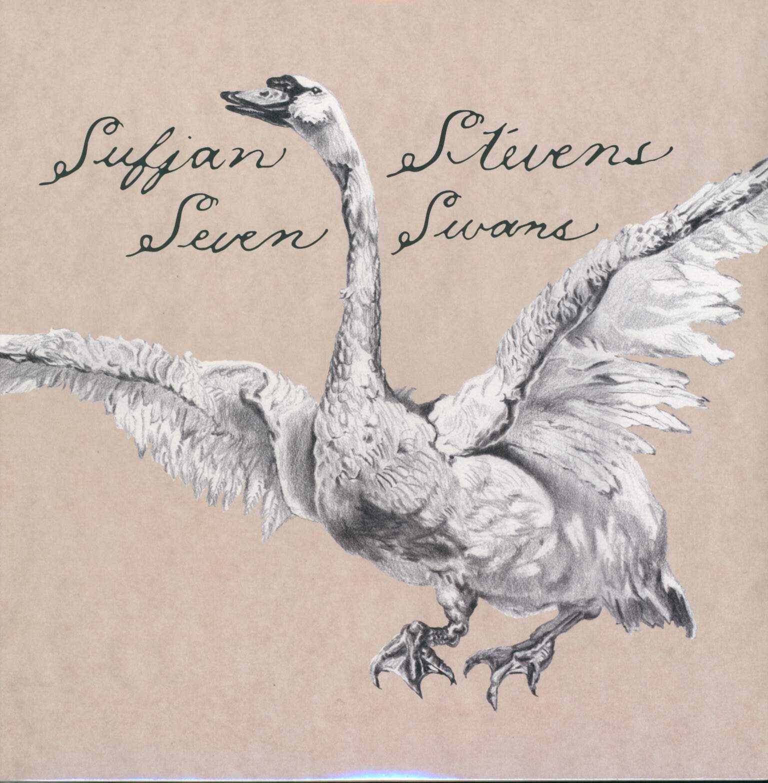 Sufjan Stevens: Seven Swans