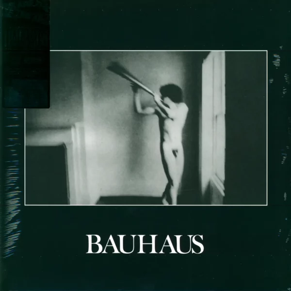 Bauhaus: In The Flat Field
