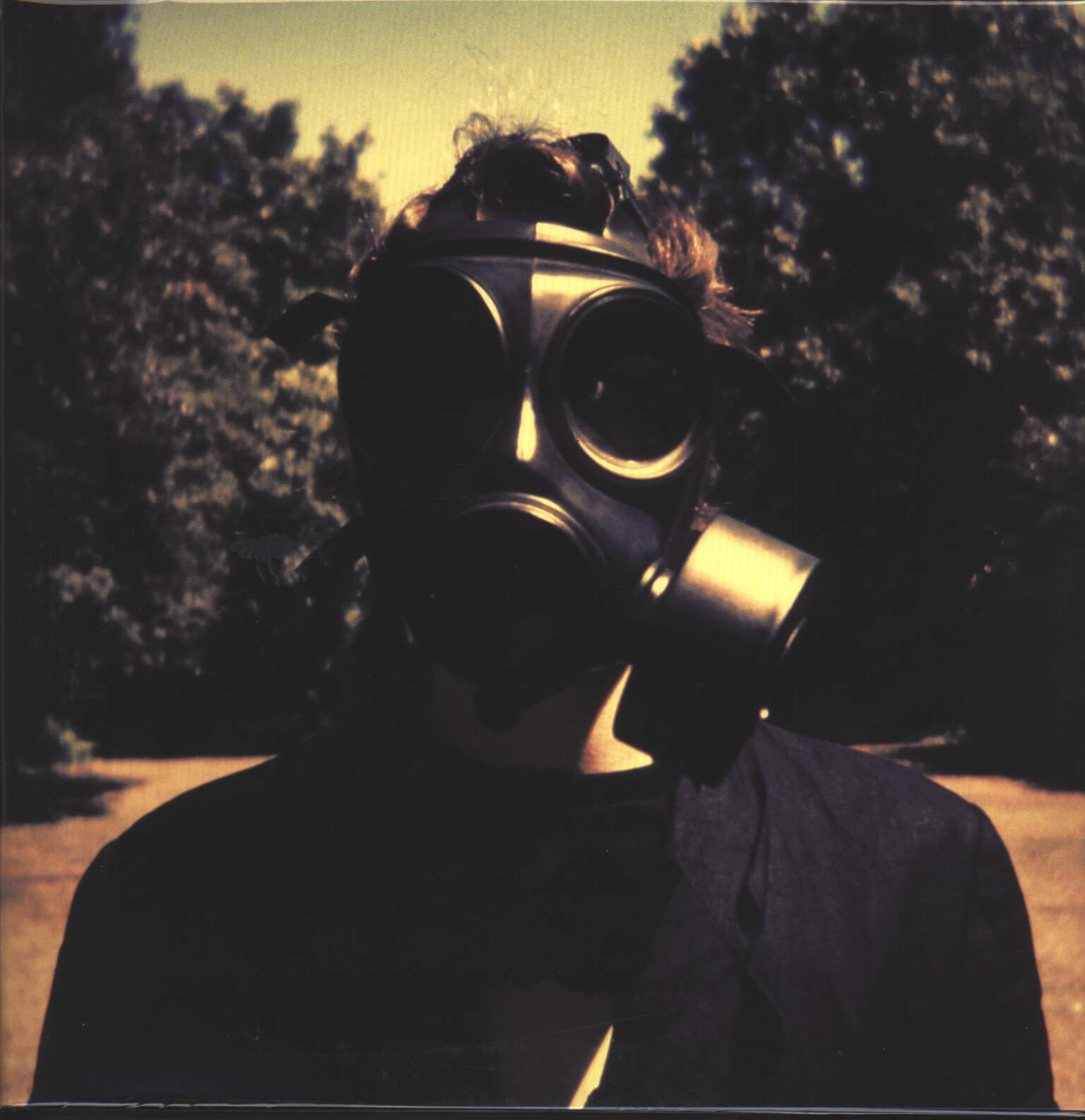 Steven Wilson: Insurgentes