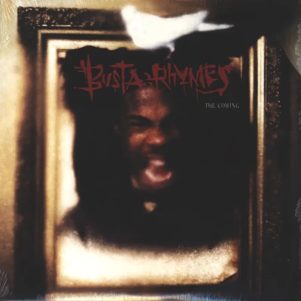 Busta Rhymes: The Coming