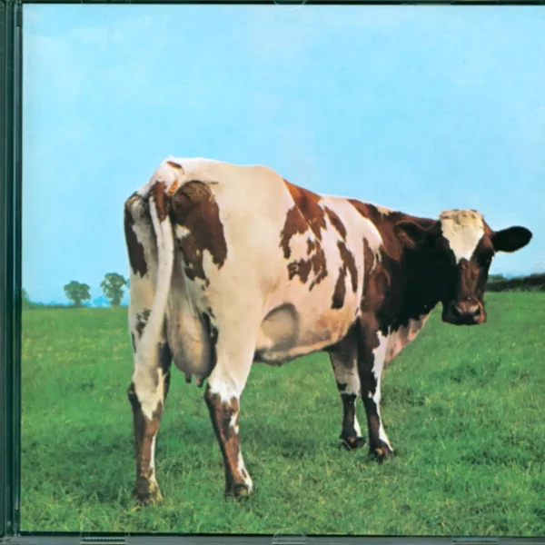 Pink Floyd: Atom Heart Mother