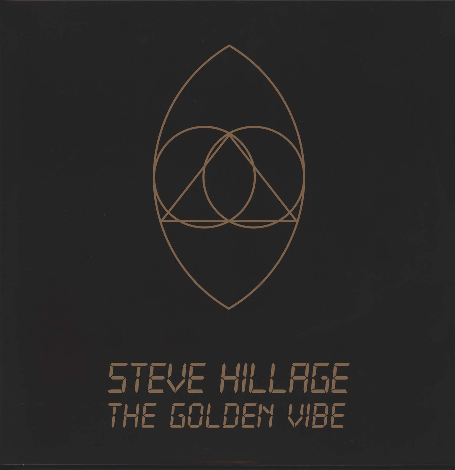 Steve Hillage: The Golden Vibe
