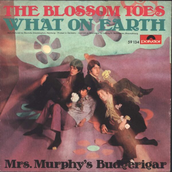 Blossom Toes: What On Earth