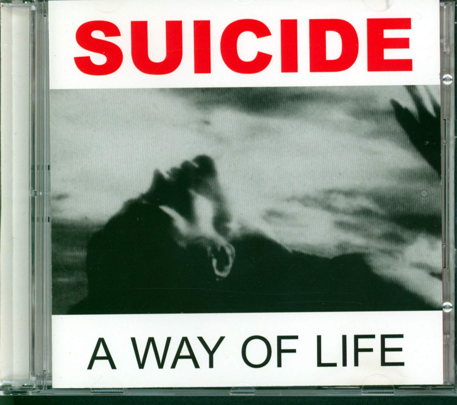 Suicide: A Way Of Life