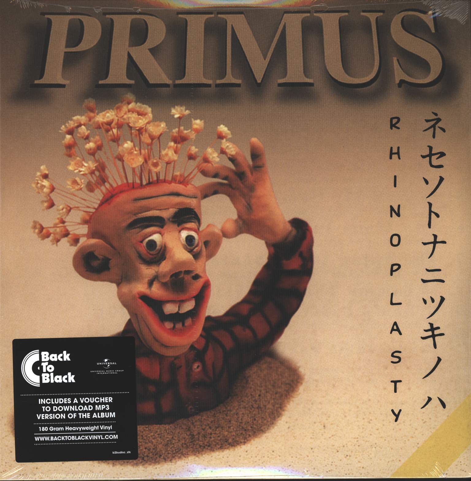 Primus: Rhinoplasty