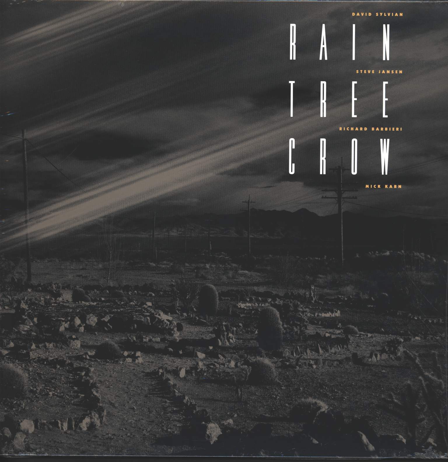 Rain Tree Crow: Rain Tree Crow