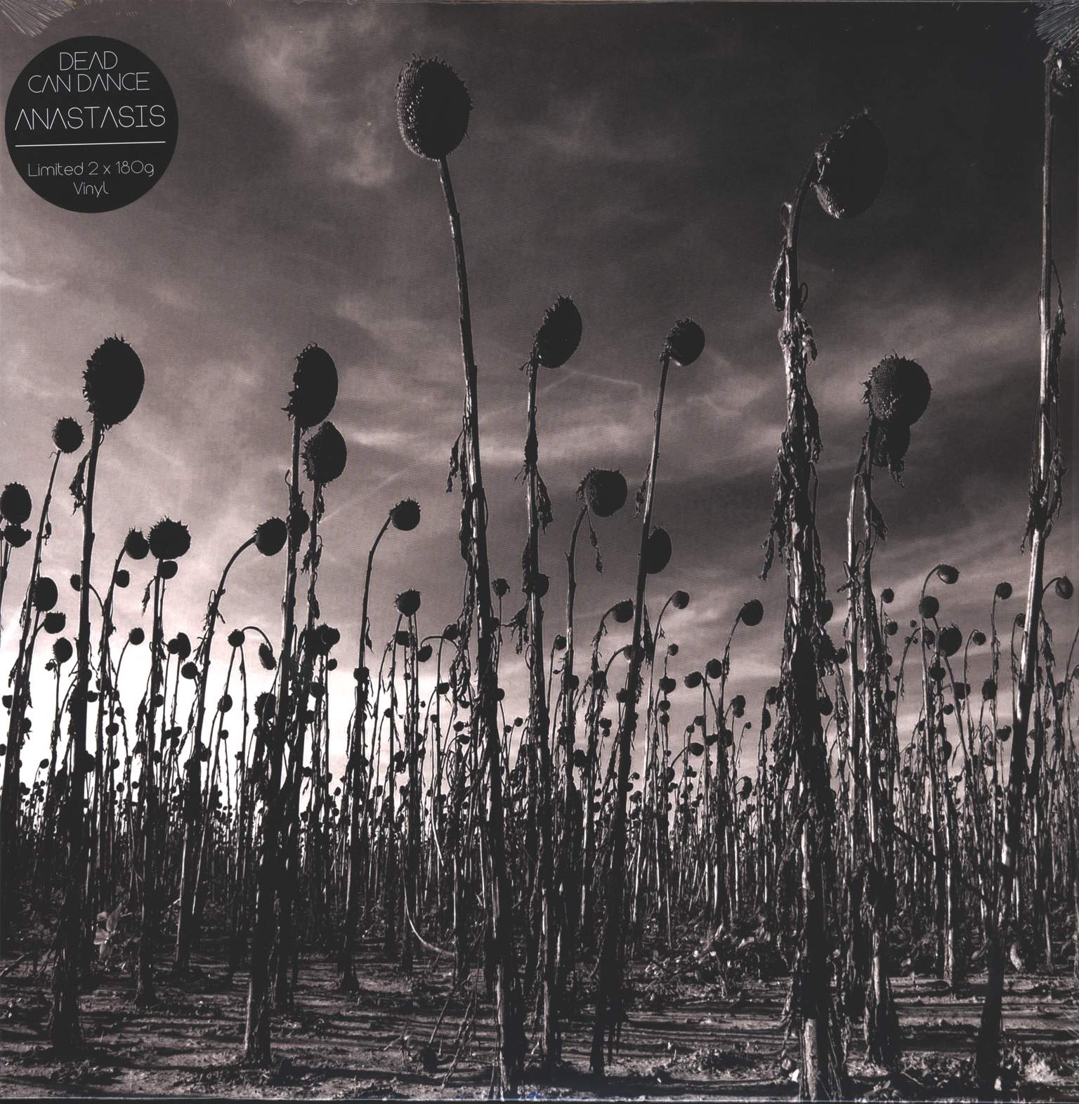 Dead Can Dance: Anastasis