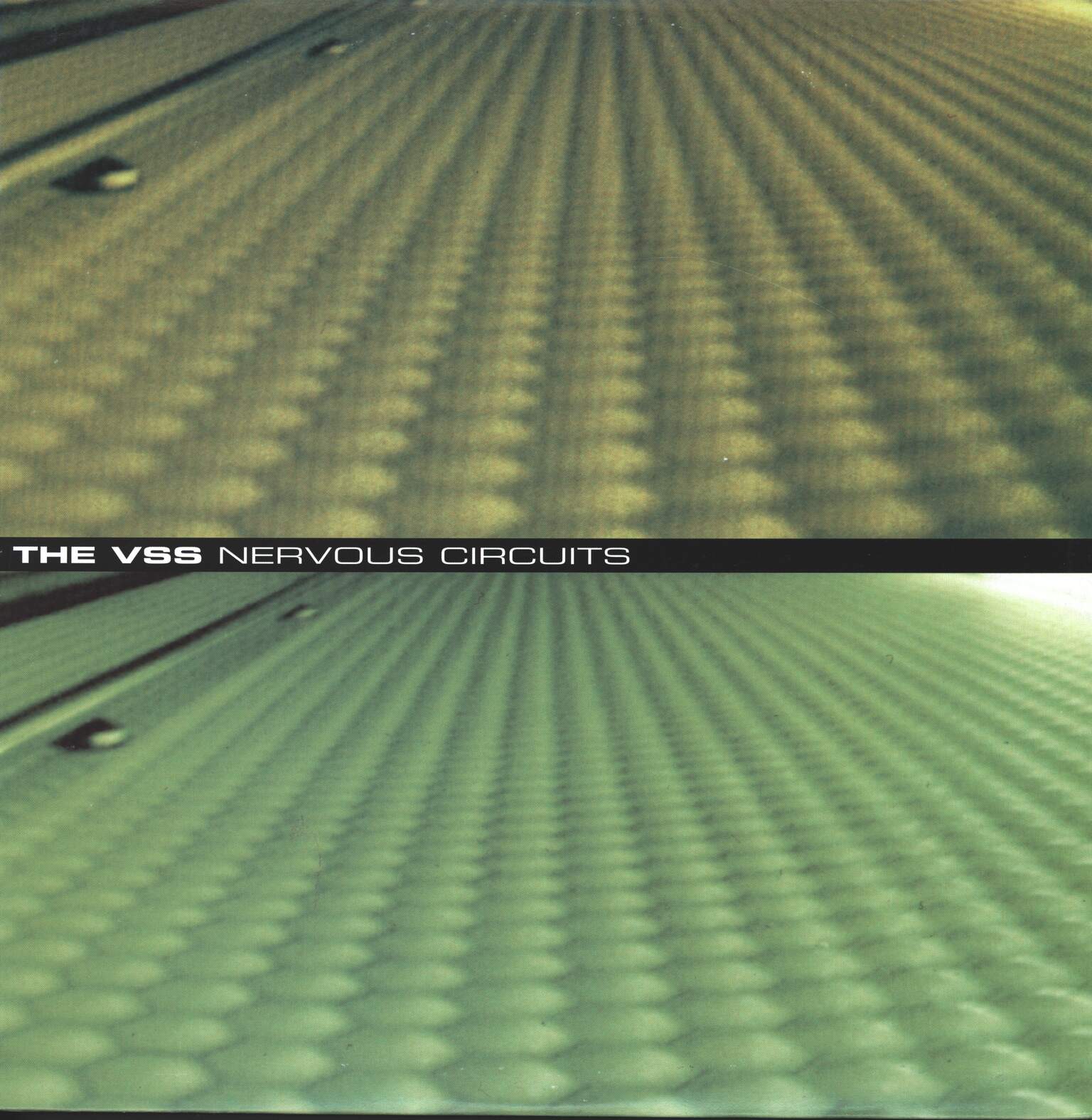 The VSS: Nervous Circuits