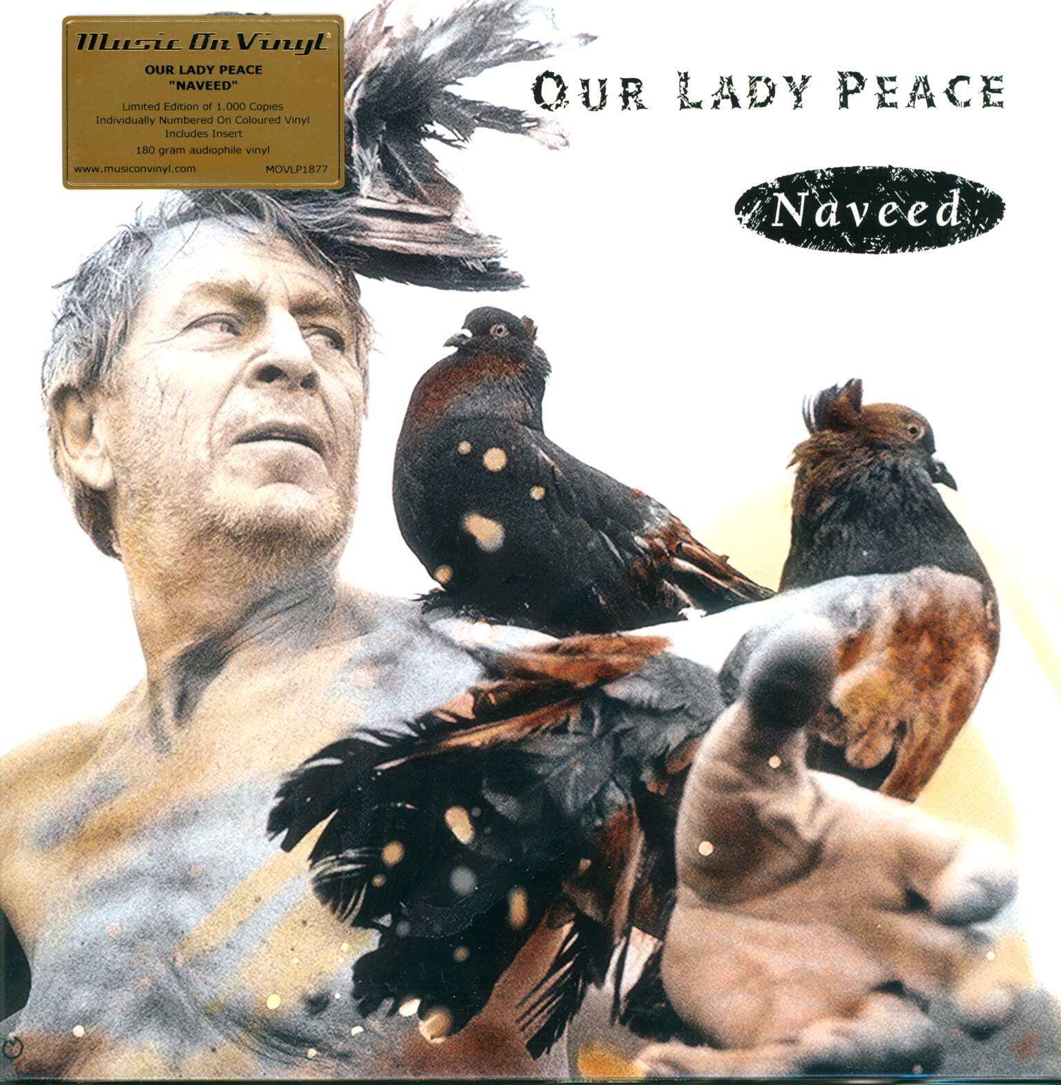 Our Lady Peace: Naveed