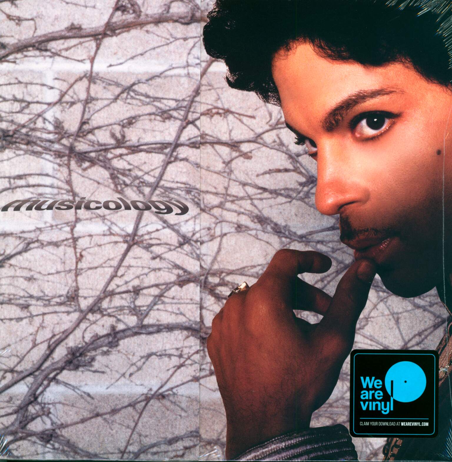 Prince: Musicology