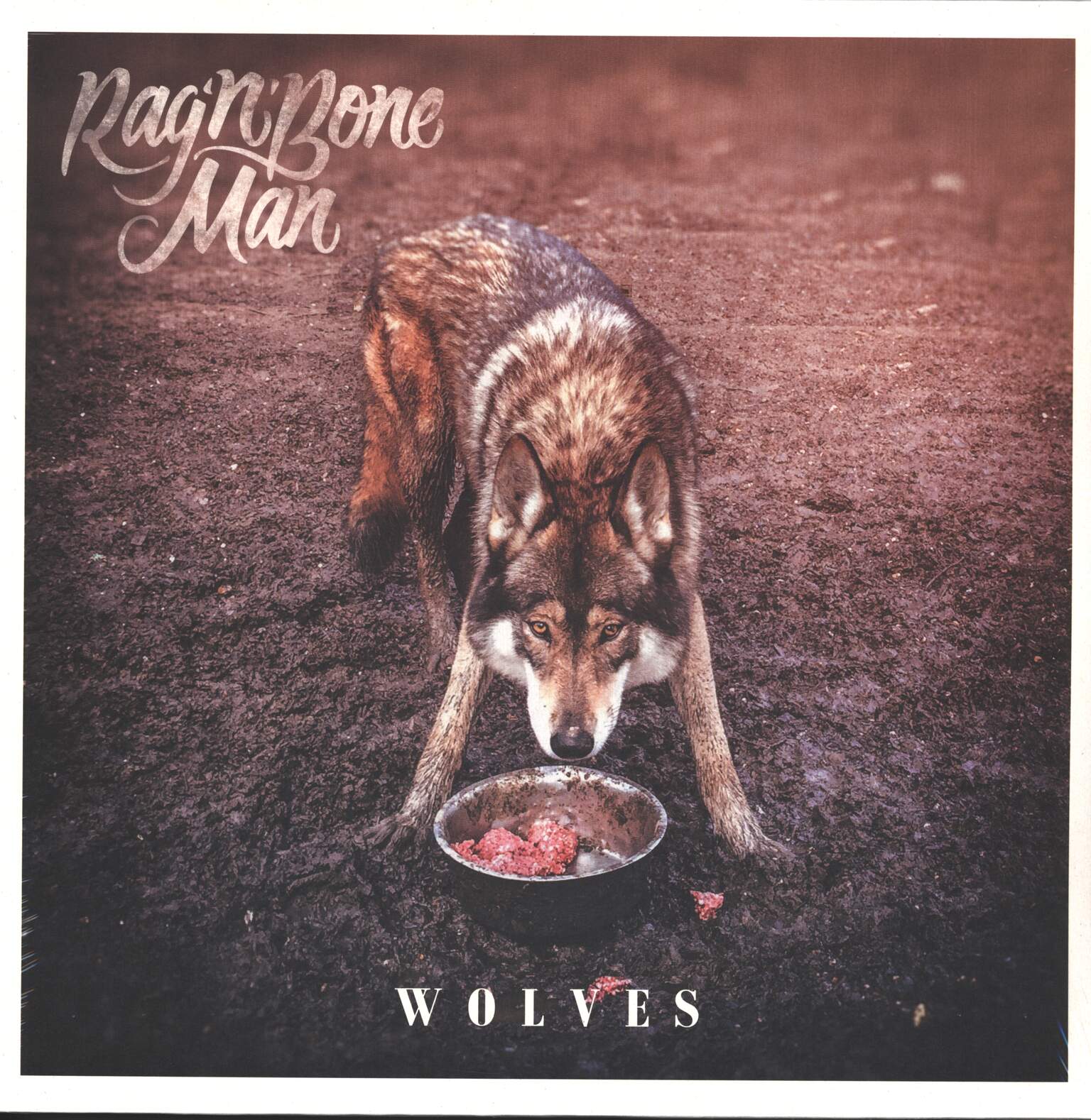 Rag'n'Bone Man: Wolves