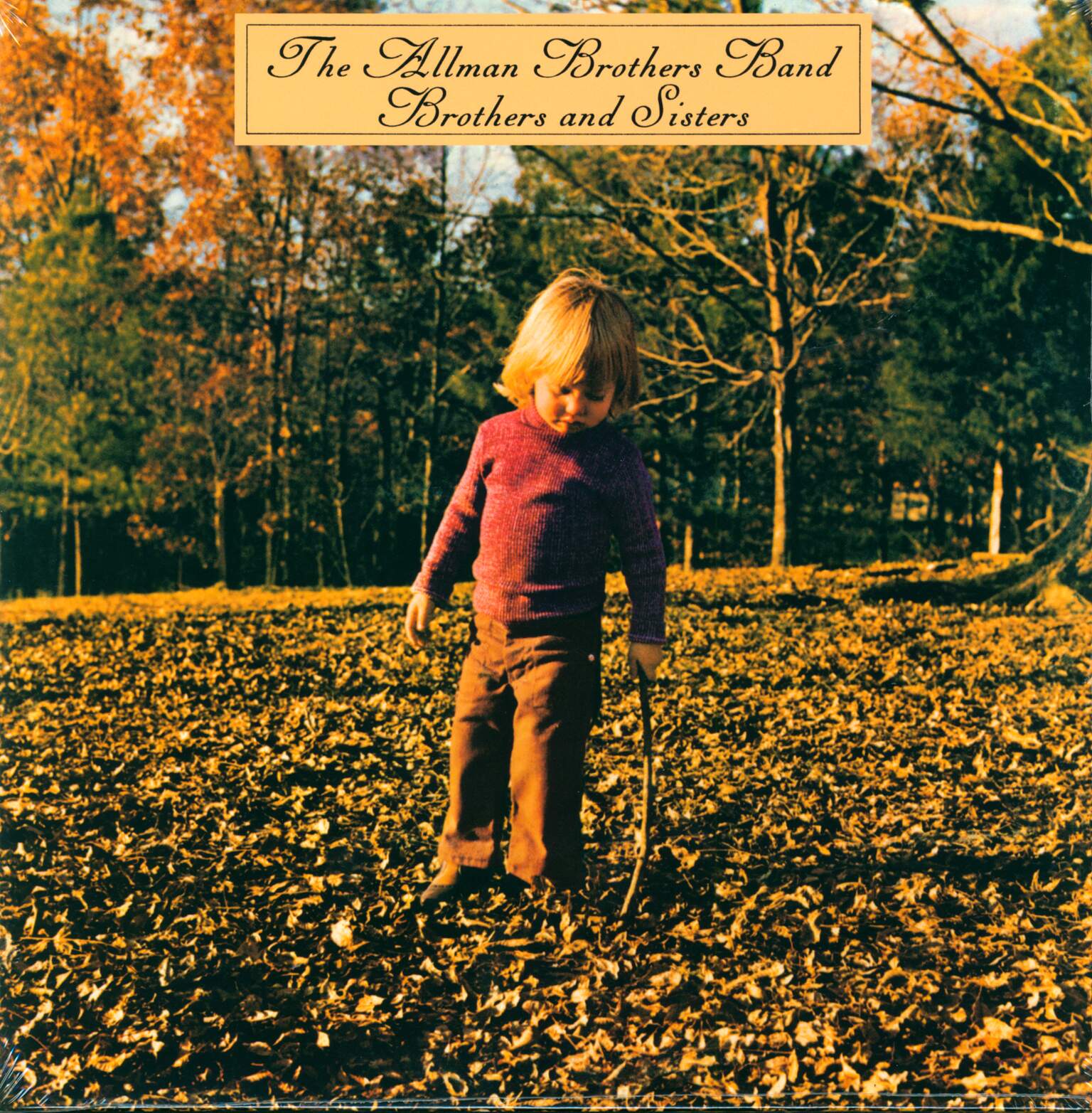 The Allman Brothers Band: Brothers And Sisters