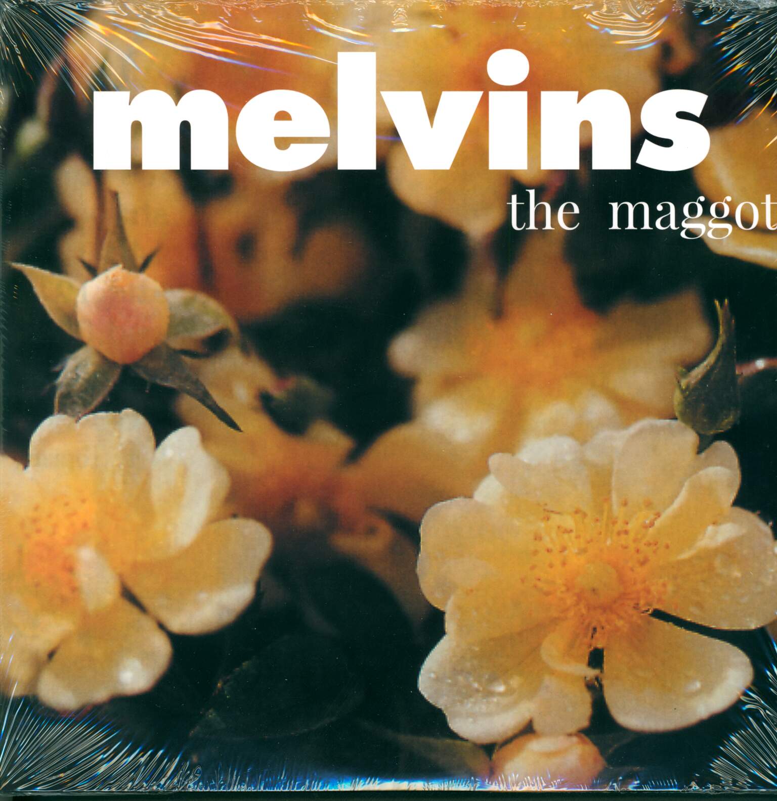 Melvins: The Maggot & The Bootlicker