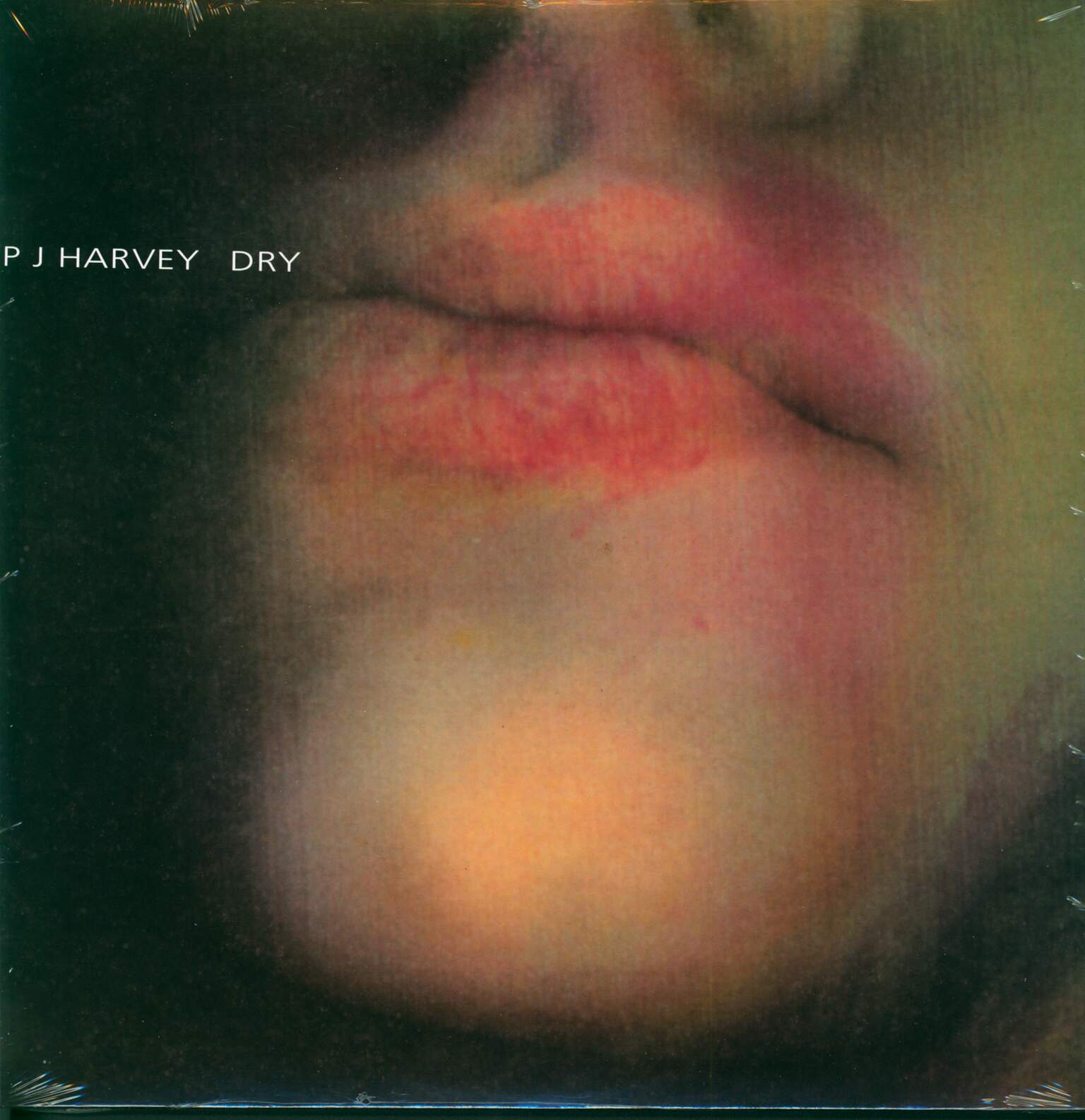 PJ Harvey: Dry