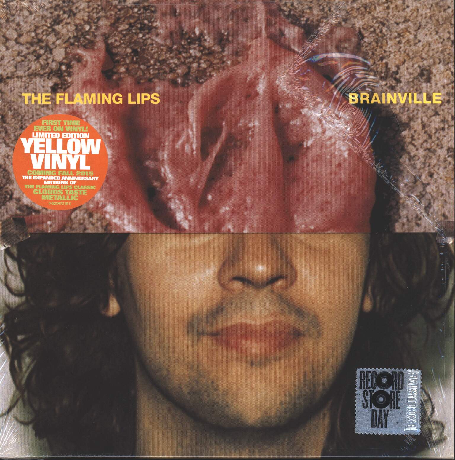 The Flaming Lips: Brainville