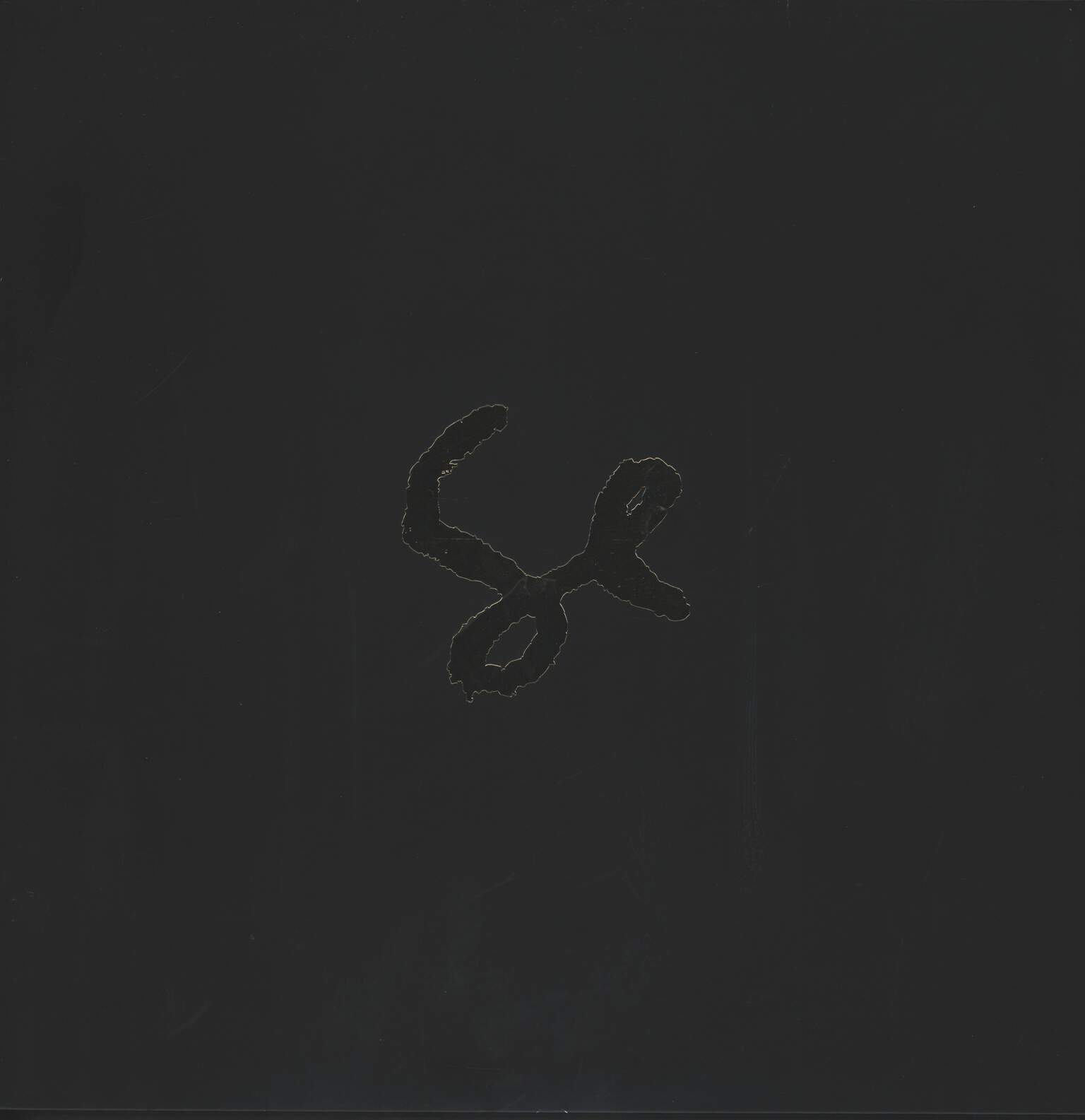 Sylvan Esso: Sylvan Esso