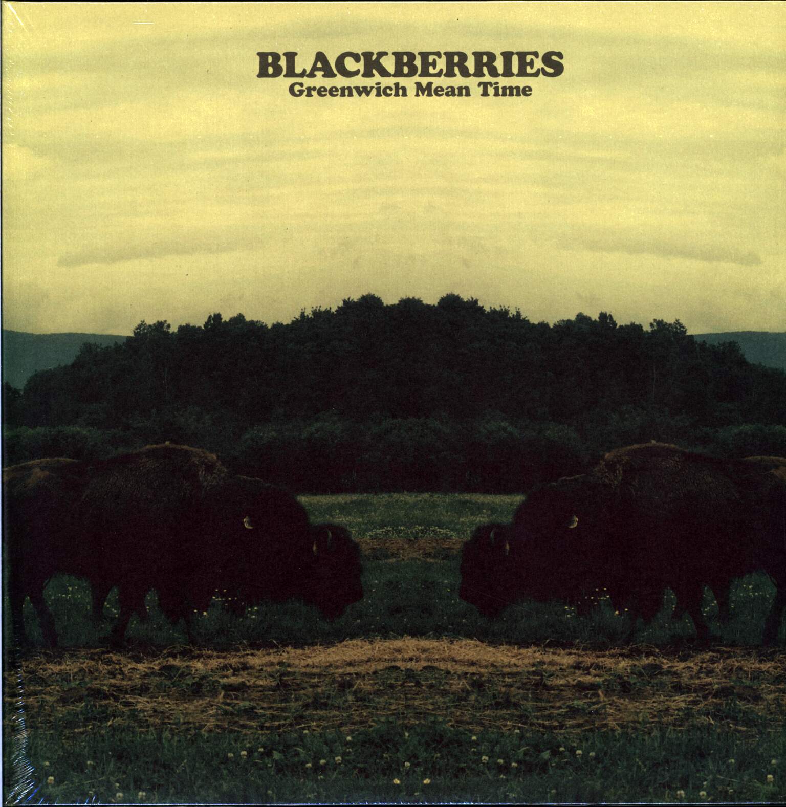 The Blackberries: Greenwich Mean Time
