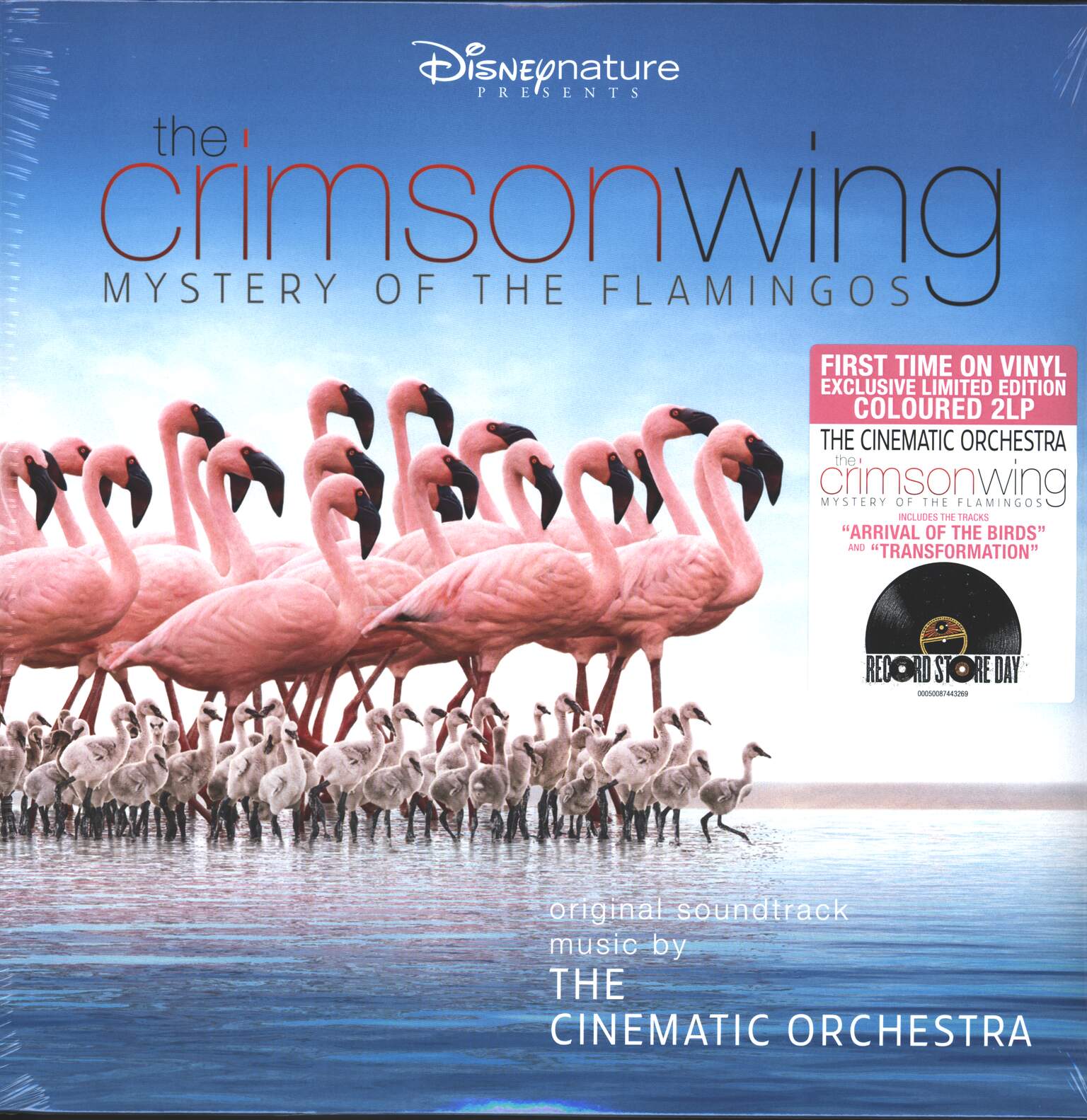 The Cinematic Orchestra: The Crimson Wing - Mystery Of The Flamingos