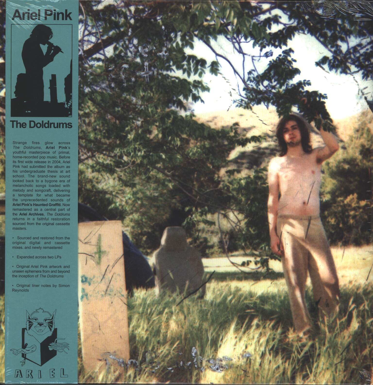 Ariel Pink's Haunted Graffiti: The Doldrums