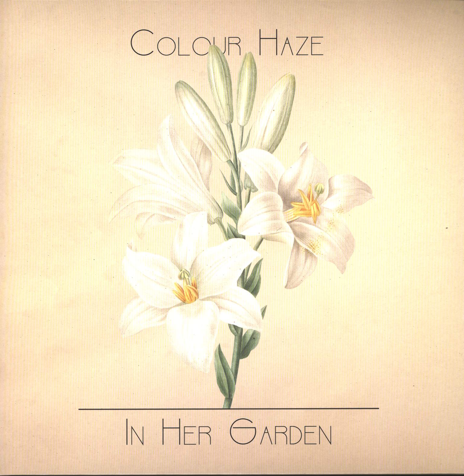 Colour Haze: In Her Garden