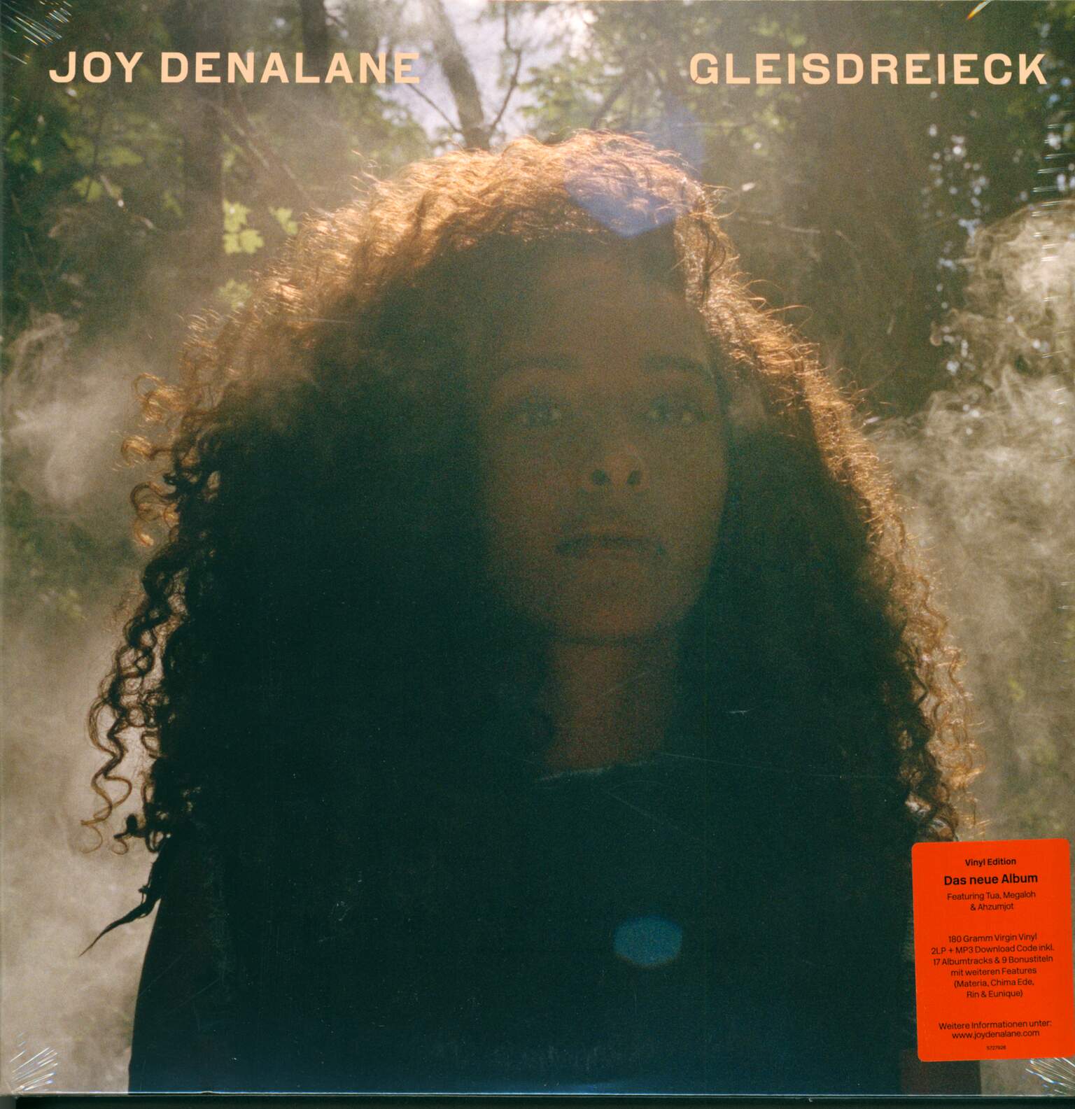 Joy Denalane: Gleisdreieck