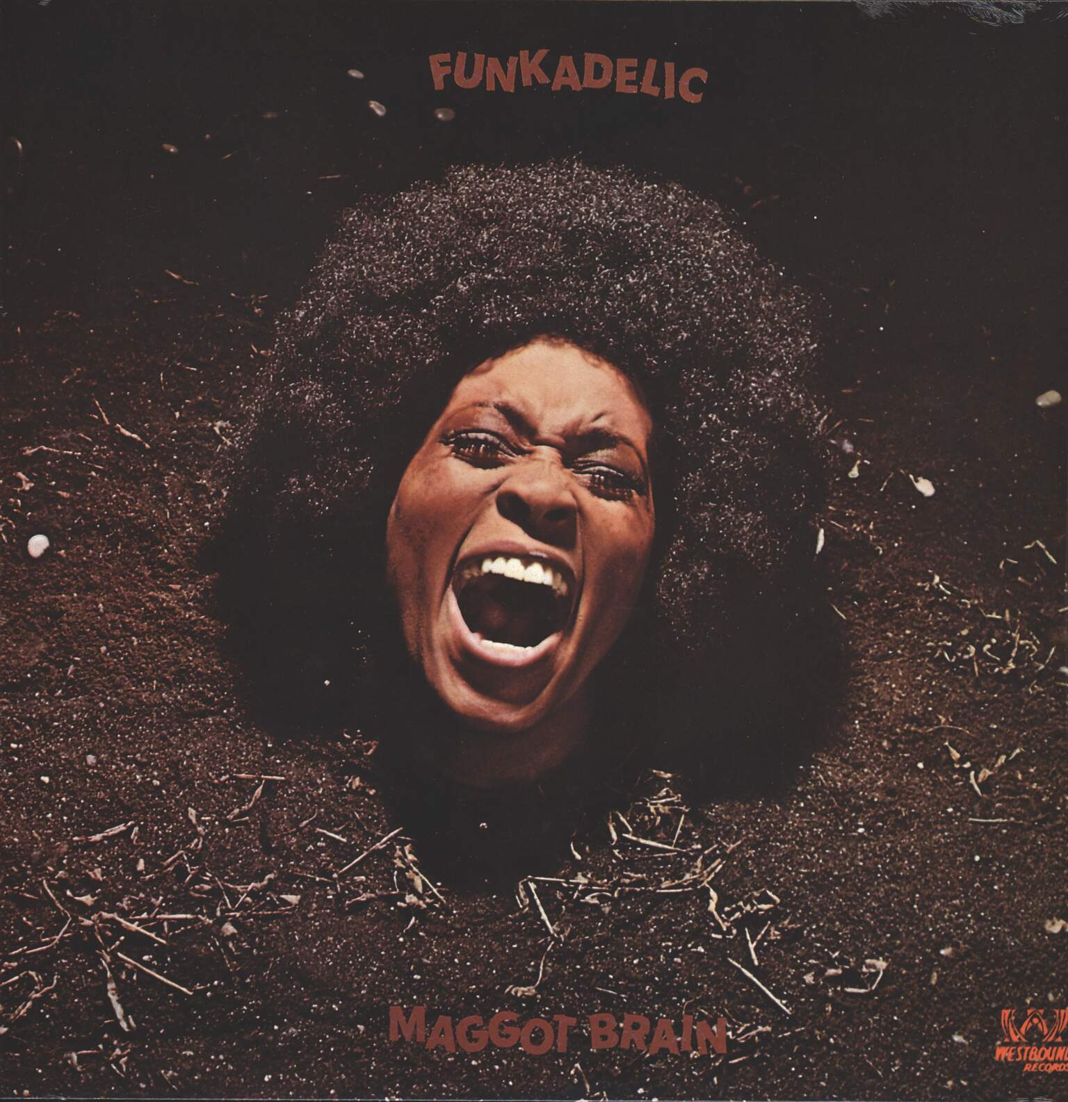 Funkadelic: Maggot Brain