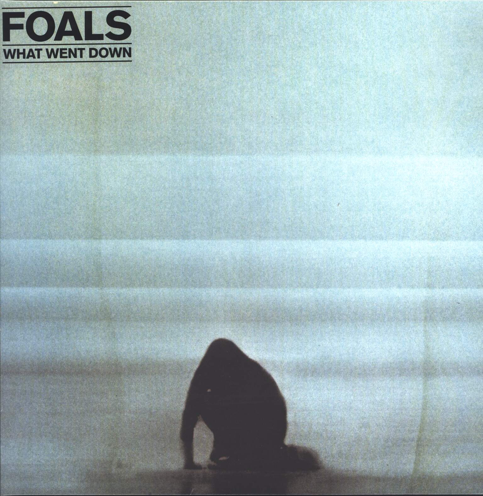 Foals: What Went Down