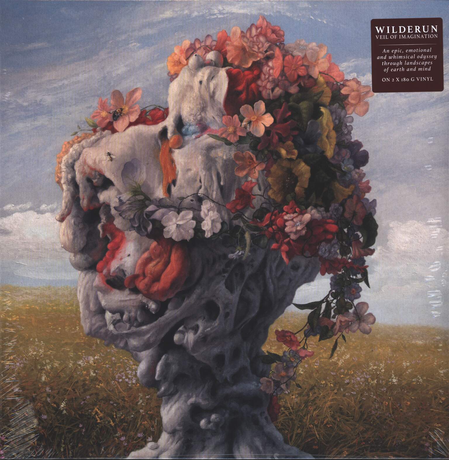 Wilderun: Veil Of Imagination