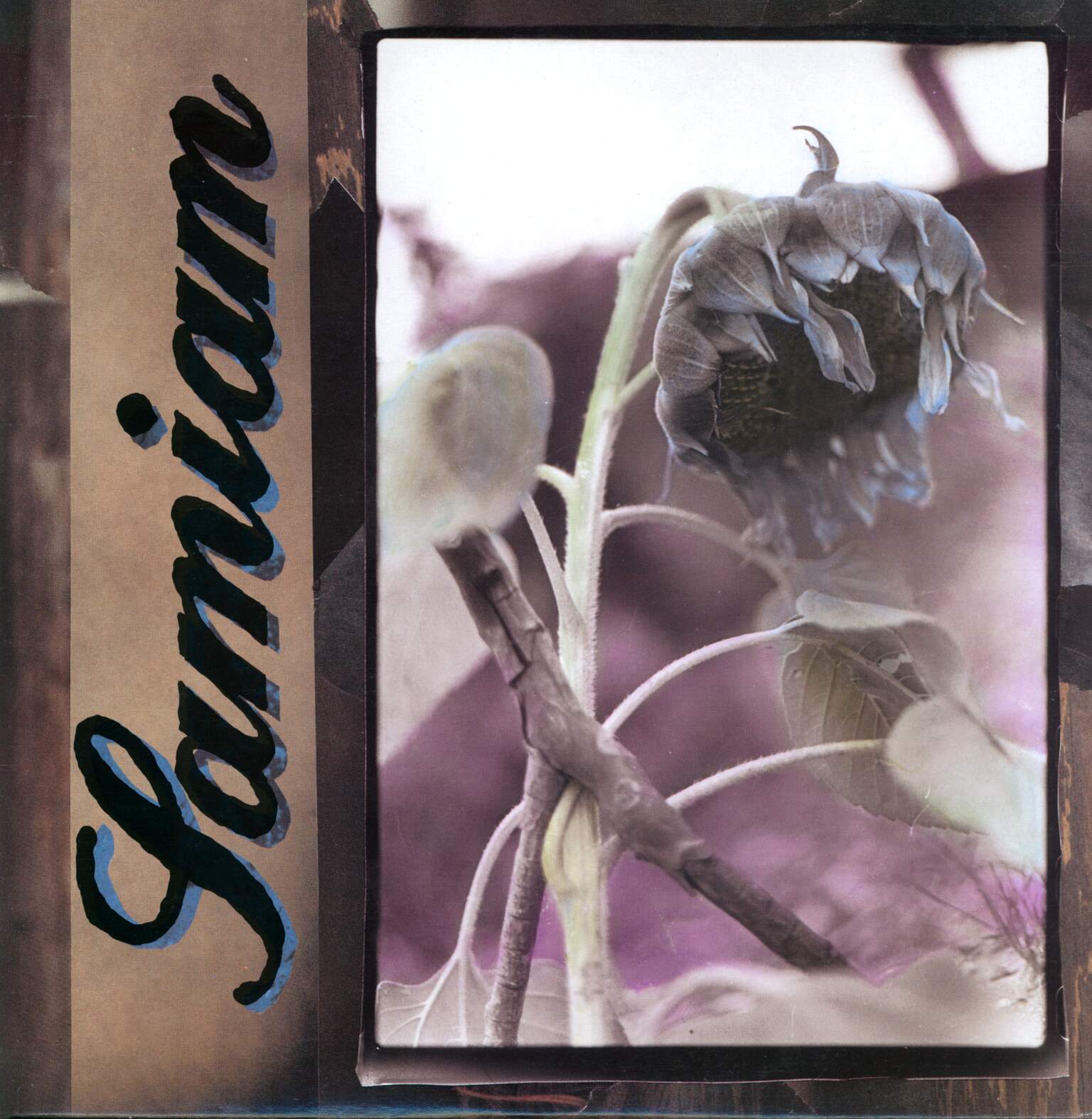 Samiam: Samiam