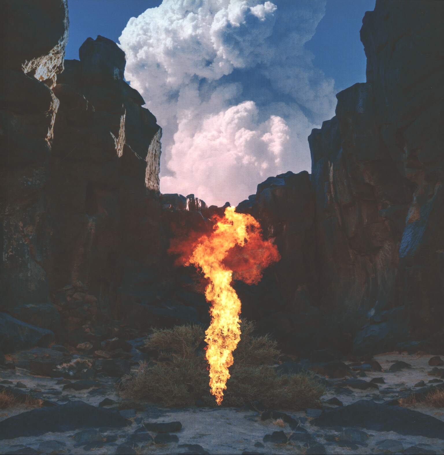 Bonobo: Migration