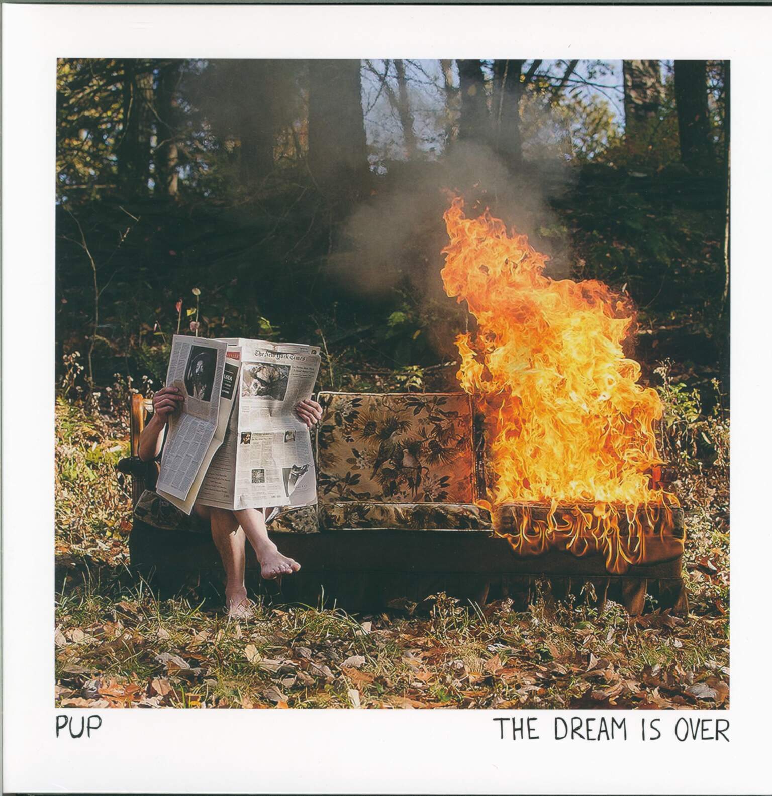 PUP: The Dream Is Over